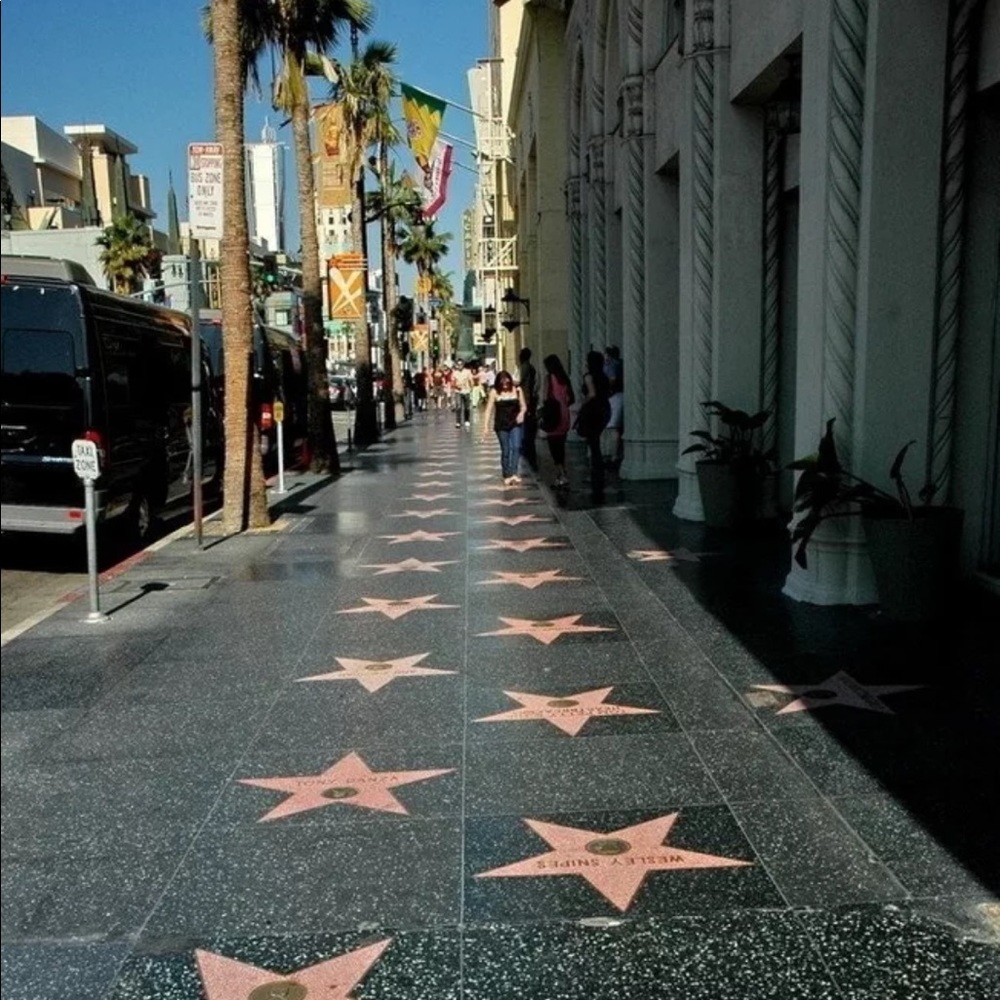 Hollywood Vinyl backdrop photography 6x10 ft